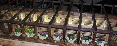 Large animal pens. Note the dinosaurs.