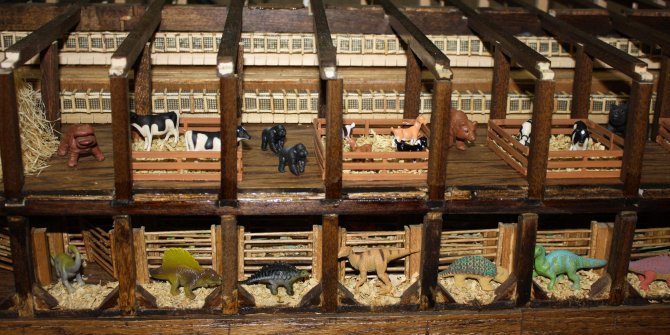 I tried to represent a variety of “kinds” of animals: clean and unclean, mammals, reptiles (dinosaurs) and birds.