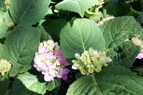 A promise of whats to come 4